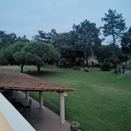 T1 Na Casa Da Quinta S Jose Vila Praia de Mira Exterior foto