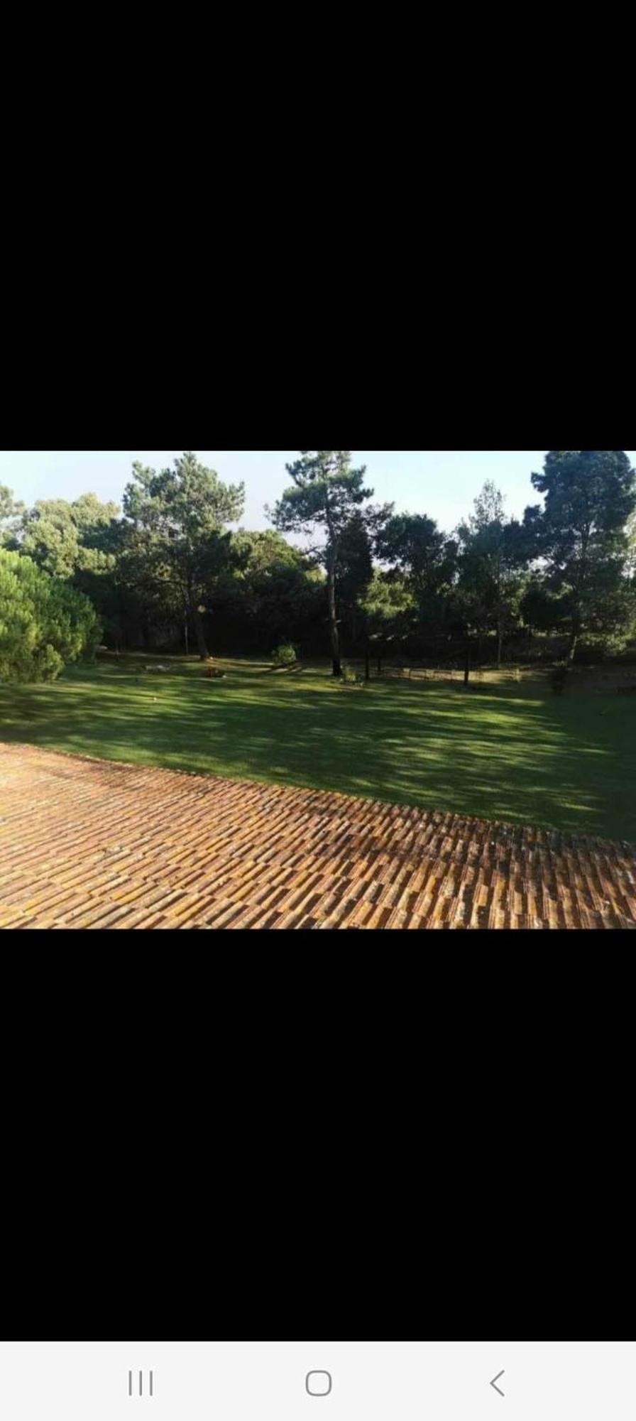 T1 Na Casa Da Quinta S Jose Vila Praia de Mira Exterior foto